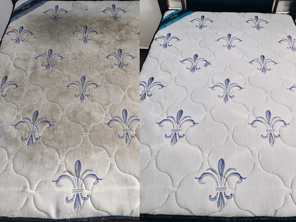 gal123122321eria